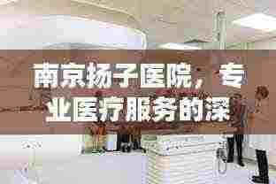 南京扬子医院,专业医疗服务的深度解析