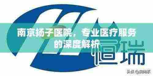 南京扬子医院,专业医疗服务的深度解析