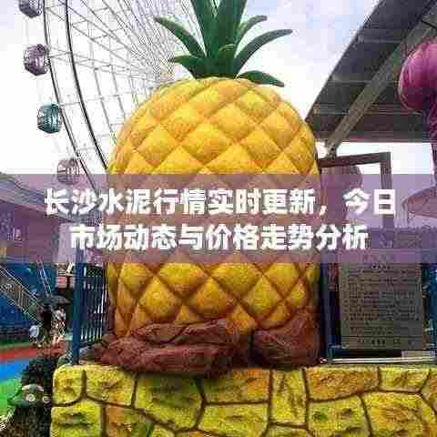 长沙水泥行情实时更新,今日市场动态与价格走势分析