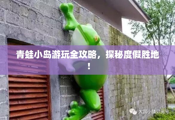 青蛙小岛游玩全攻略,探秘度假胜地!