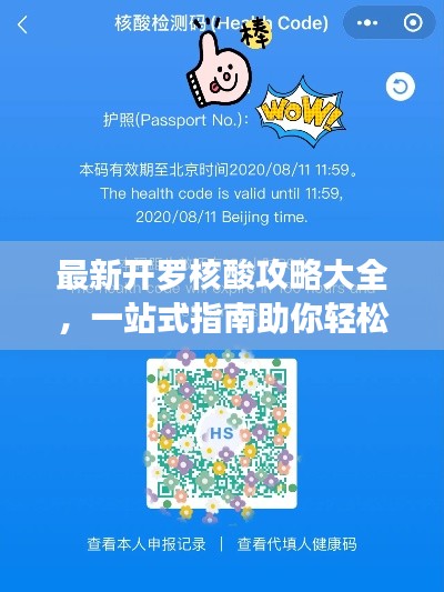 最新开罗核酸攻略大全，一站式指南助你轻松应对！