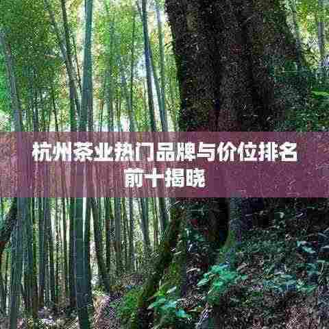 杭州茶业热门品牌与价位排名前十揭晓