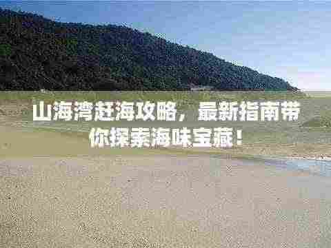 山海湾赶海攻略,最新指南带你探索海味宝藏!