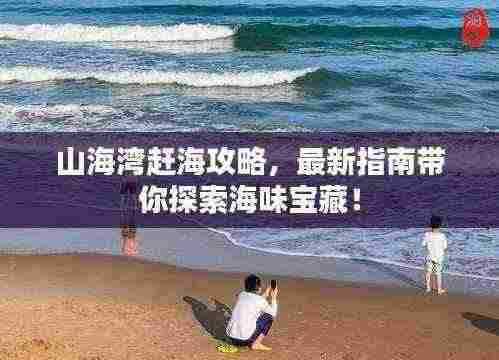 山海湾赶海攻略,最新指南带你探索海味宝藏!