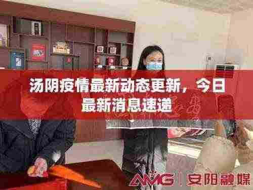 汤阴疫情最新动态更新，今日最新消息速递