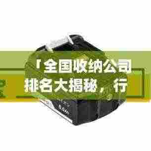 「全国收纳公司排名大揭秘，行业洞察与趋势分析」