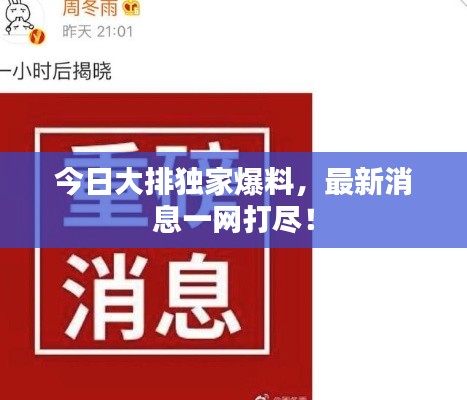今日大排独家爆料，最新消息一网打尽！