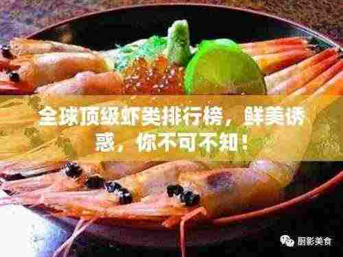 全球顶级虾类排行榜,鲜美诱惑,你不可不知!