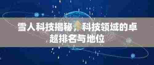 雪人科技揭秘,科技领域的卓越排名与地位