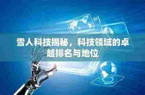 雪人科技揭秘,科技领域的卓越排名与地位