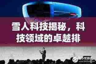 雪人科技揭秘,科技领域的卓越排名与地位