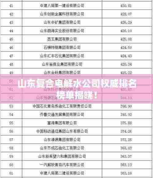 山东复合电解水公司权威排名榜单揭晓!