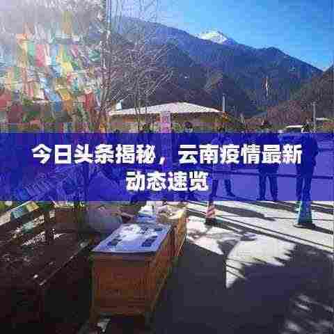 今日头条揭秘，云南疫情最新动态速览