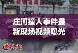 庄河撞人事件最新现场视频曝光,事故细节揭秘与公众反应热议
