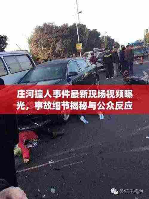 庄河撞人事件最新现场视频曝光,事故细节揭秘与公众反应热议