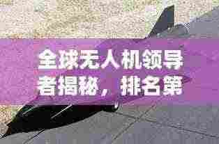 全球无人机领导者揭秘,排名第一企业的奥秘探索
