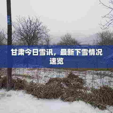 甘肃今日雪讯,最新下雪情况速览
