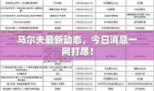 马尔夫最新动态,今日消息一网打尽!