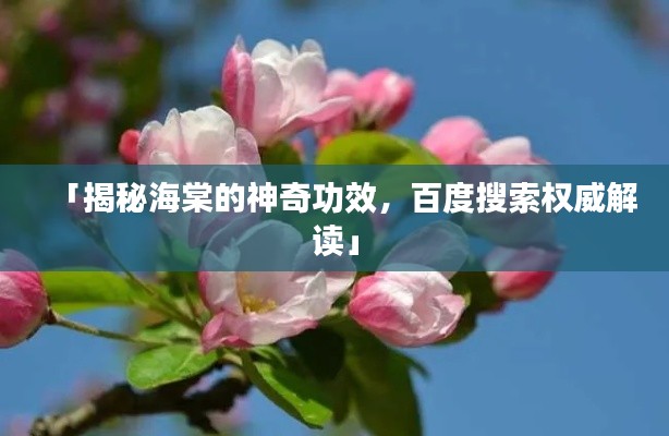 「揭秘海棠的神奇功效,百度搜索权威解读」