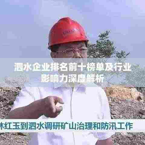 泗水企业排名前十榜单及行业影响力深度解析