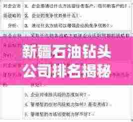 新疆石油钻头公司排名揭秘，行业地位与竞争力分析