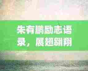 朱有鹏励志语录，展翅翱翔，梦想翅膀的力量