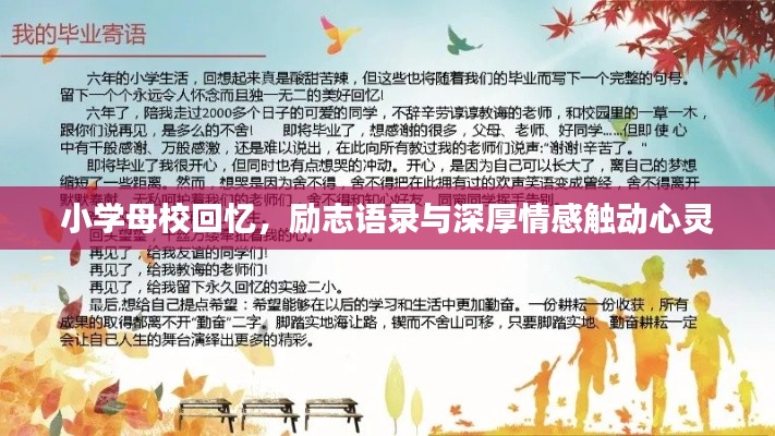 小学母校回忆,励志语录与深厚情感触动心灵