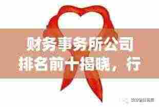 财务事务所公司排名前十揭晓,行业领军者引领未来发展新篇章