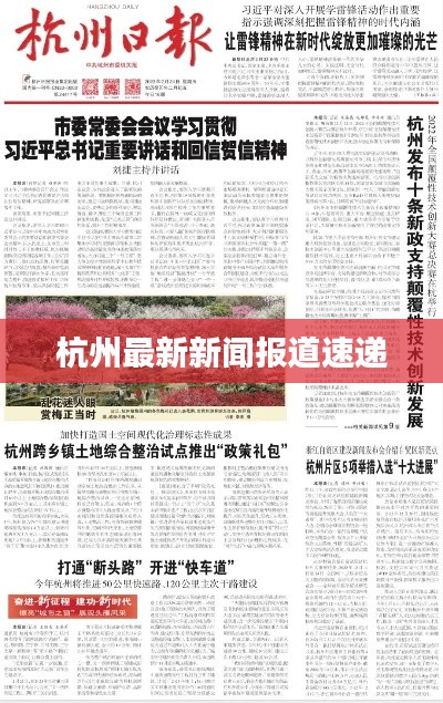杭州最新新闻报道速递