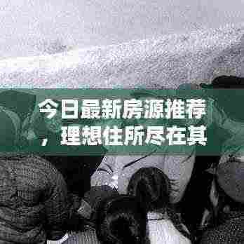 今日最新房源推荐,理想住所尽在其中!