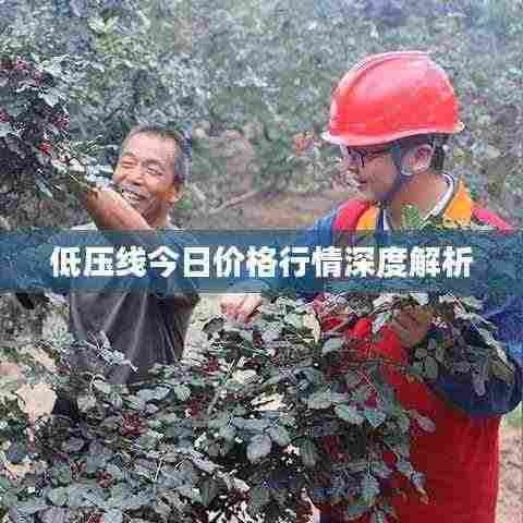 低压线今日价格行情深度解析