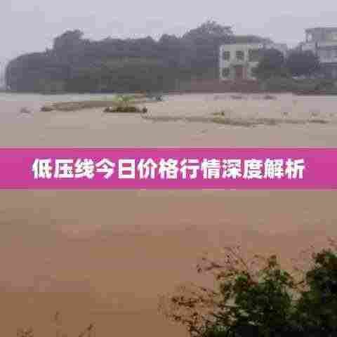低压线今日价格行情深度解析