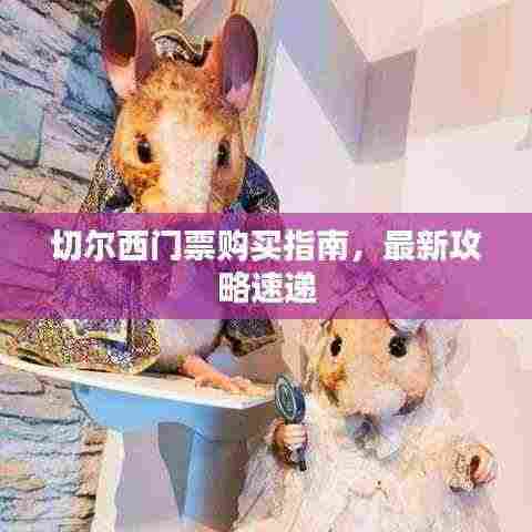 切尔西门票购买指南,最新攻略速递