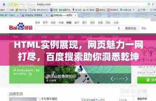 HTML实例展现，网页魅力一网打尽，百度搜索助你洞悉乾坤