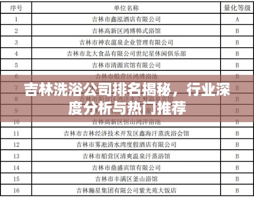 吉林洗浴公司排名揭秘,行业深度分析与热门推荐