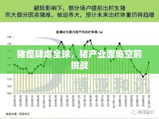 猪瘟肆虐全球，猪产业面临空前挑战