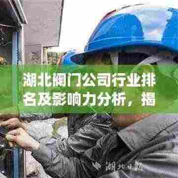 湖北阀门公司行业排名及影响力分析，揭秘行业巨头榜单