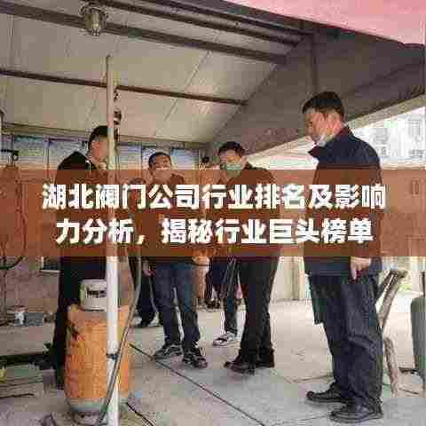 湖北阀门公司行业排名及影响力分析,揭秘行业巨头榜单