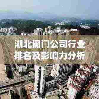 湖北阀门公司行业排名及影响力分析,揭秘行业巨头榜单