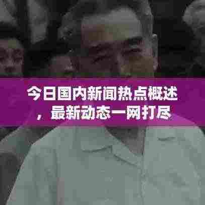 今日国内新闻热点概述,最新动态一网打尽
