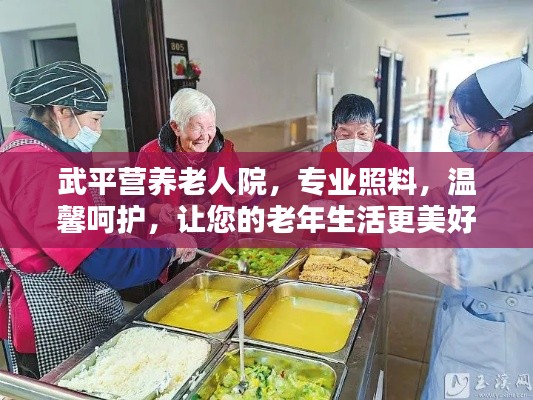 武平营养老人院，专业照料，温馨呵护，让您的老年生活更美好！