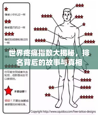 世界疼痛指数大揭秘，排名背后的故事与真相