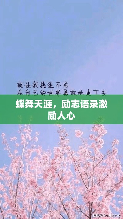 蝶舞天涯，励志语录激励人心