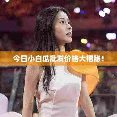 今日小白瓜批发价格大揭秘！