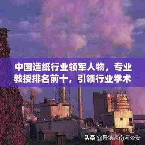 中国造纸行业领军人物，专业教授排名前十，引领行业学术发展潮流