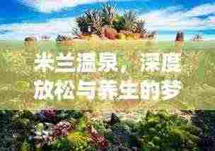 米兰温泉,深度放松与养生的梦幻天堂