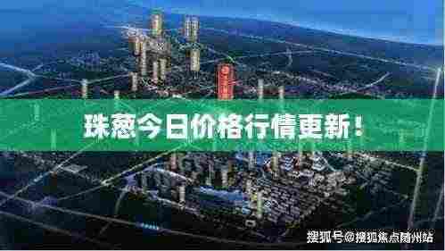 珠葱今日价格行情更新!