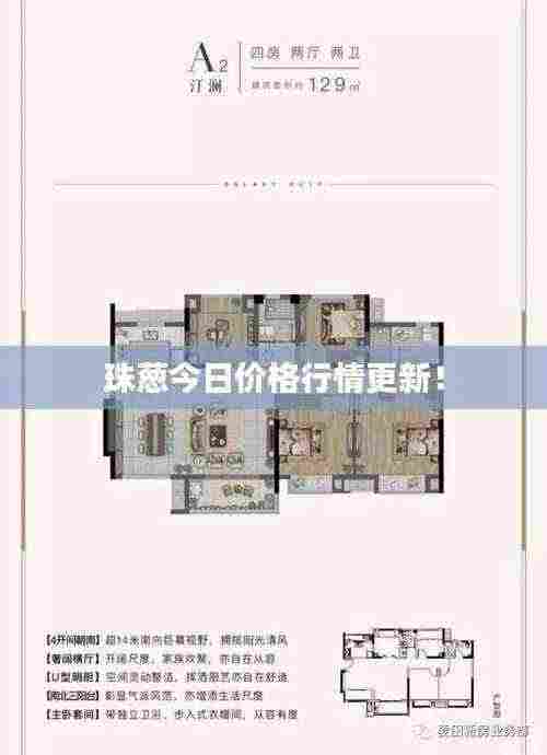 珠葱今日价格行情更新!