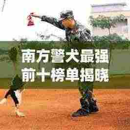 风韵犹存 第3页