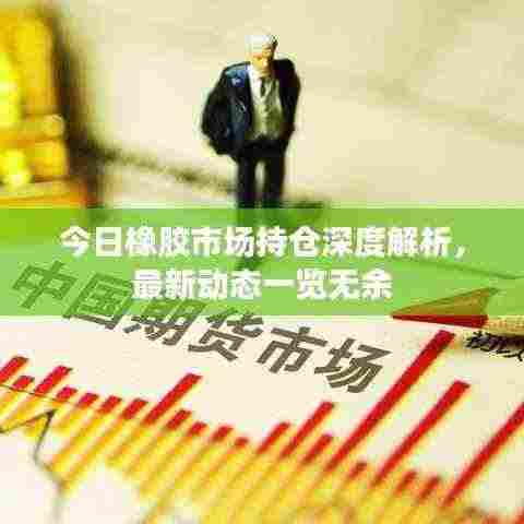 今日橡胶市场持仓深度解析,最新动态一览无余